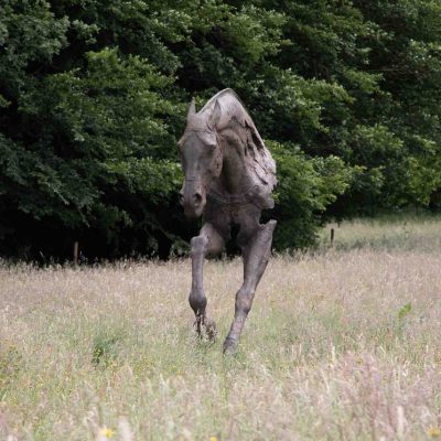 Cheval, monumentale, 2023 par Christophe Charbonnel